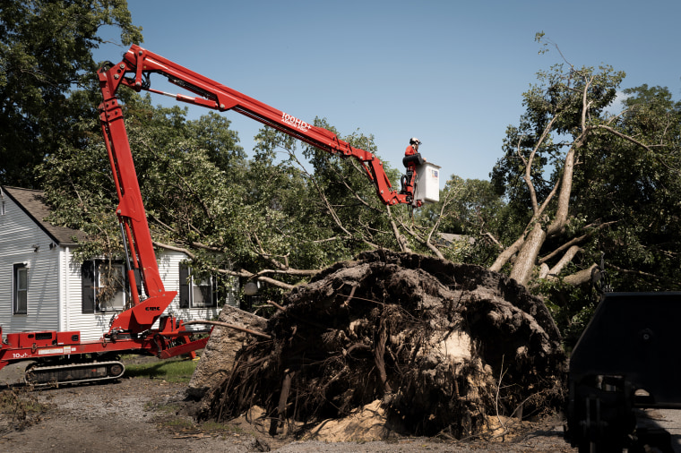 Tree Care workers from Michigan remove a tree from the front of a home in Gary on Thursday after it was toppled during a recent storm.Scott Olson / Getty Images