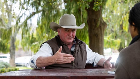 Barnaby Joyce suggests One Nation could welcome some refugees while barring other migrants – video