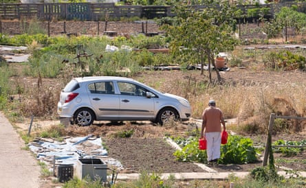 Drought is predicted to cause food shortages.Photograph: Maureen McLean/Shutterstock