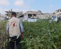 Saqer Abu Rabee works on his plants nursery in Gaza