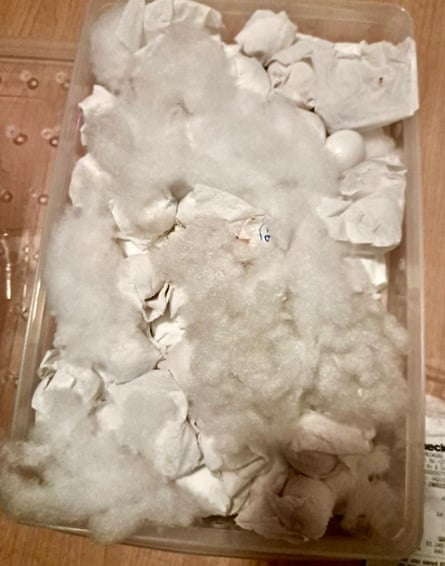 The seized parrot eggs.Photograph: Ministry of Forestry, Fisheries and the Environment