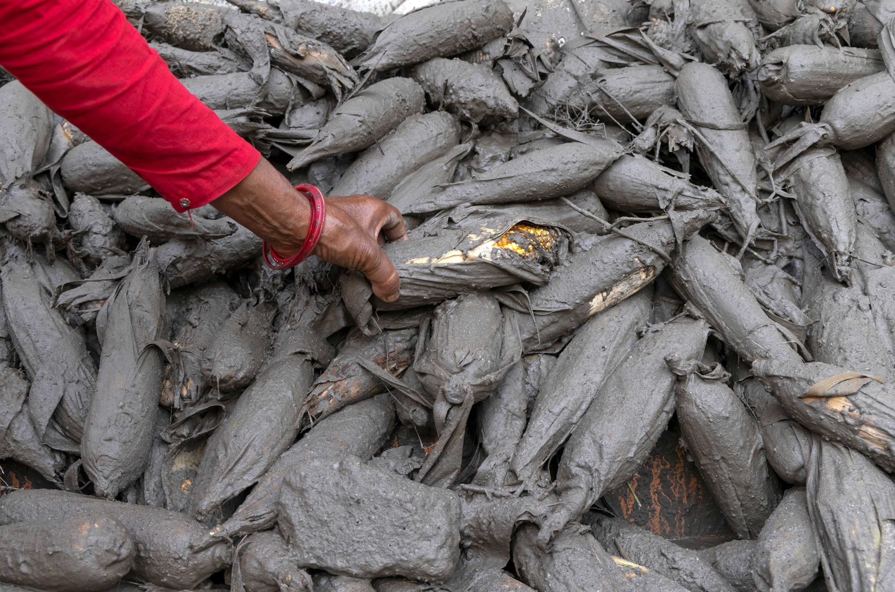 A flood survivor collects mud-covered corn following a flash flood in Devighat Village, Nuwakot district, Nepal, August 27, 2026.Narendra Shrestha/EPA/Shutterstock