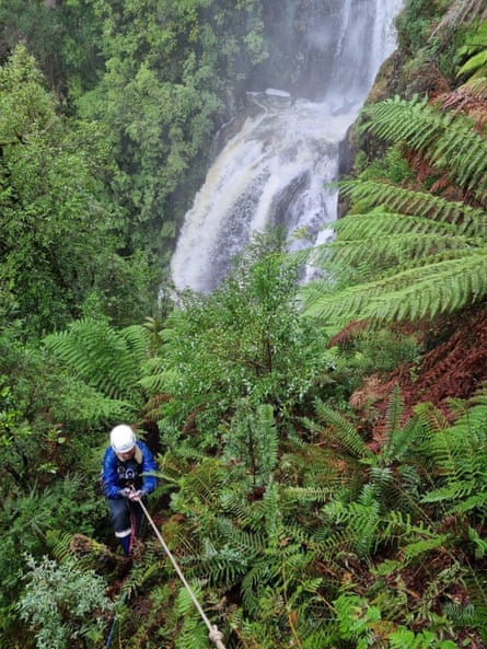 Searchers scoured wilderness in 2023 near the Philosopher Falls track in Tasmania in the hunt for Cremer. Her remains were found earlier this year.Photograph: Tasmania police