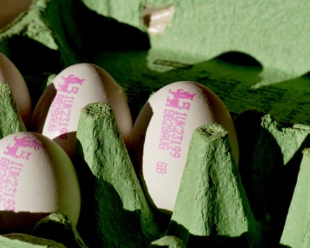 British lion-stamped eggs are from UK hens vaccinated against salmonella.Photograph: Geoffrey Swaine/Shutterstock