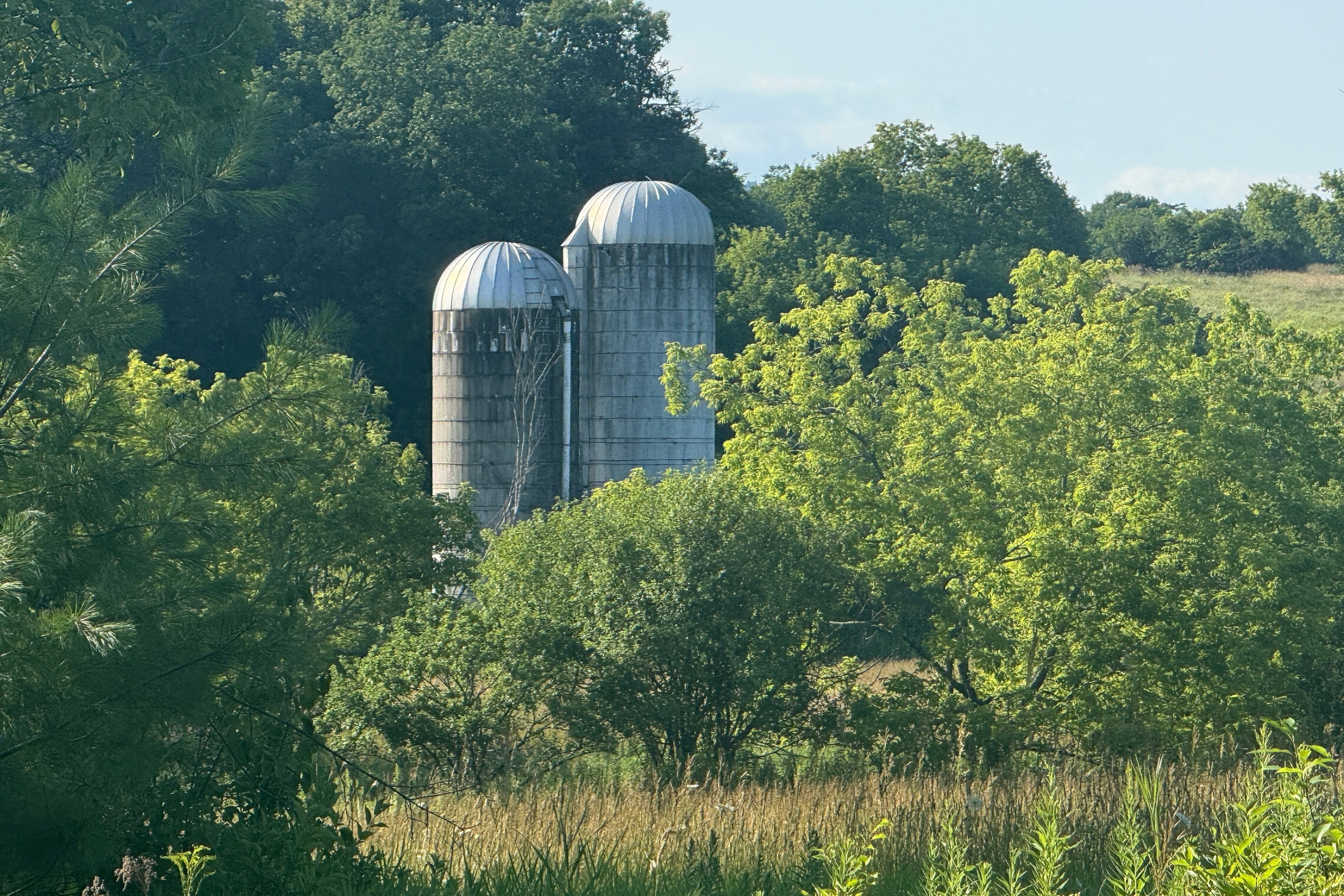 Farms like this one in Essex County, New York, make up a large portion of the economy of New York's 21st Congressional District.Jared Kofsky/ABC News