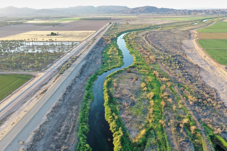 The Colorado River flows past farmland near Yuma, Ariz., in 2023.Mario Tama / Getty Images file