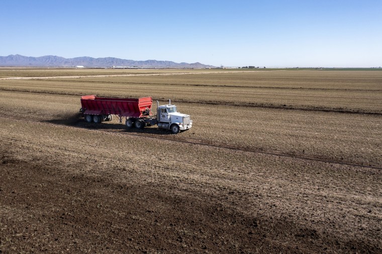 Fresh soil is spread on a farm in the desert in Buckeye, Ariz.Jim West / Universal Images Group via Getty Images file