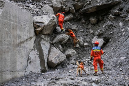 Rescuers use sniffer dogs to search for mudslide victims in Gyirong in Tibet.Photograph: Jigme Dorje/Xinhua/AP