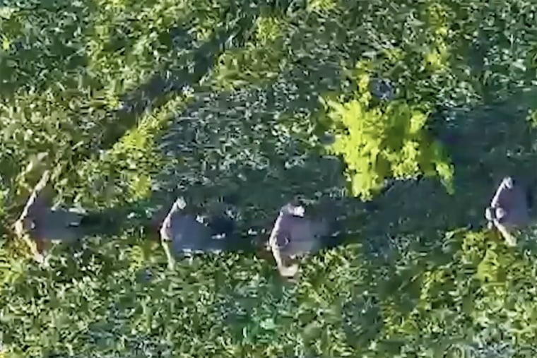 Russian soldiers captured by Ukrainian military surrender their weapons.Courtesy of Forpost Brigade
