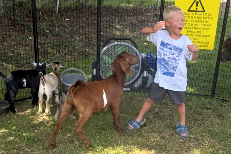 Lanning's son has received three rabies vaccinations so far and will ultimately need six shots.Rebecca Lanning