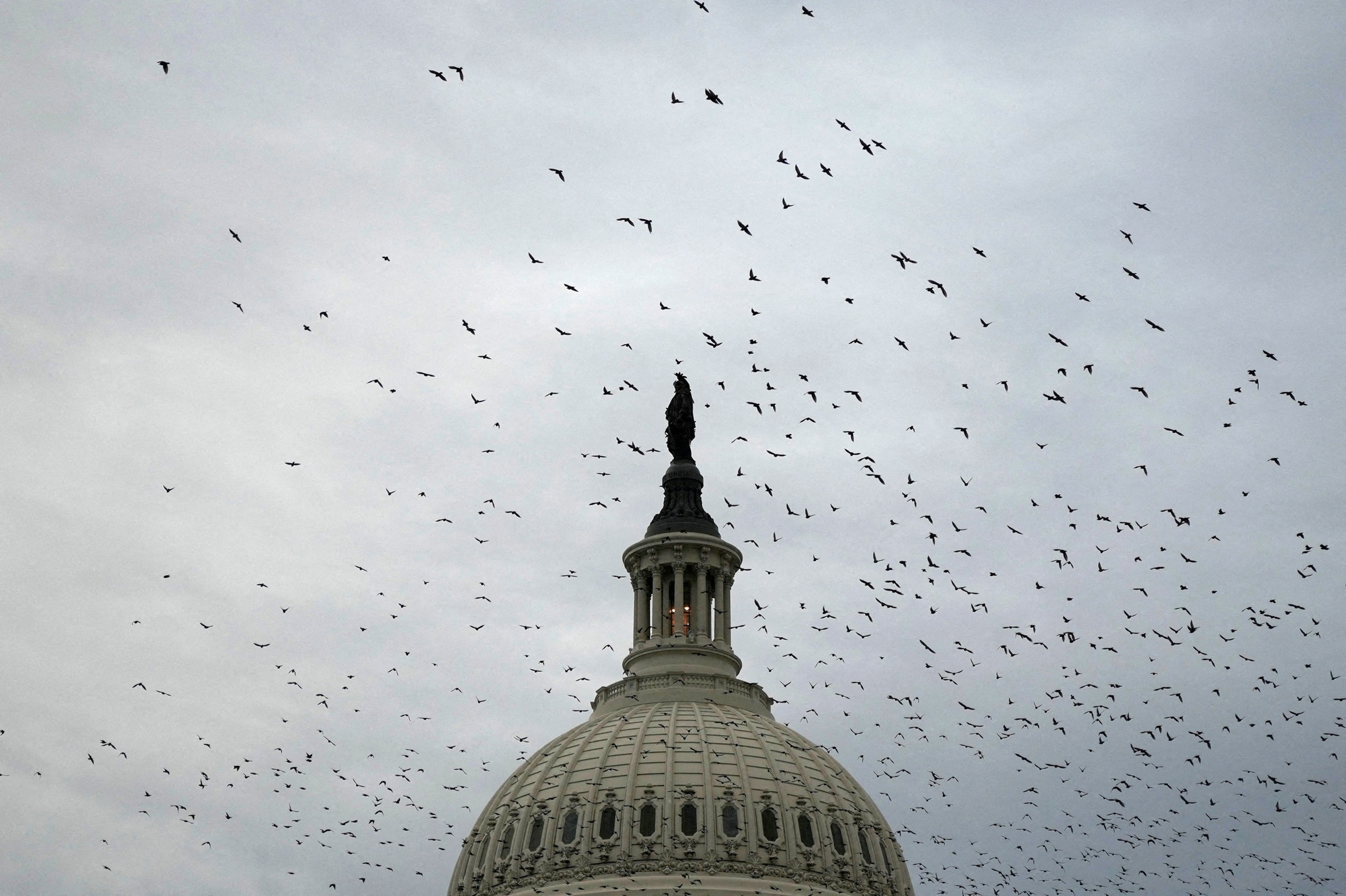 Birds fly above the dome of the U.S. Capitol as negotiations for the Senate's final votes of the legislative session continue, in Washington, D.C., August 7, 2026.Nathan Howard/Reuters