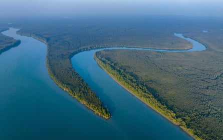 The Sundarbans, the world’s largest mangrove forest and one of the last habitats of Bengal tigers, supports the livelihoods of millions of people.Photograph: Bengal Picture Library/Alamy