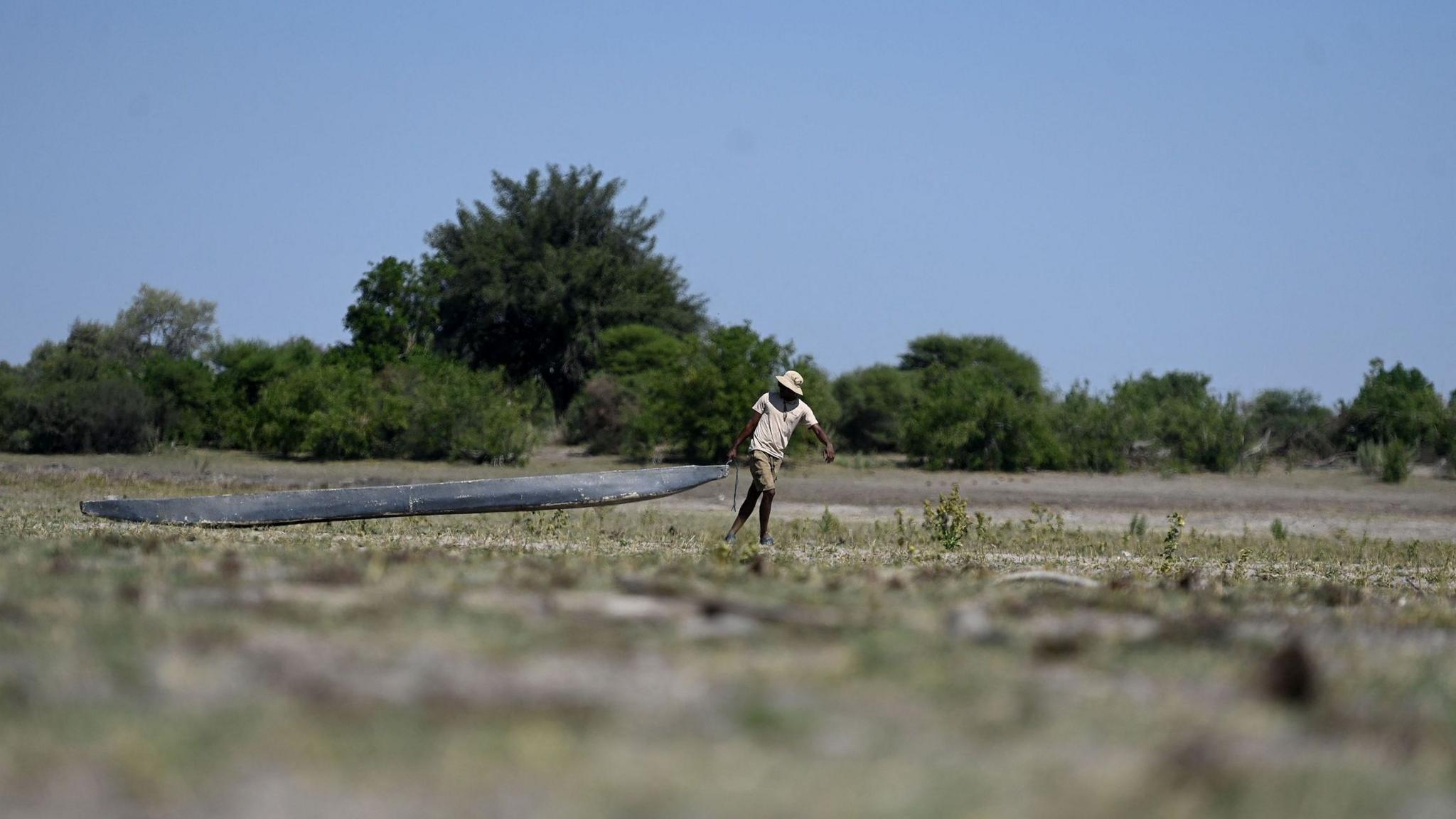Image caption,Countries in Southern Africa, like Botswana, experienced severe drought during the last El Niño event