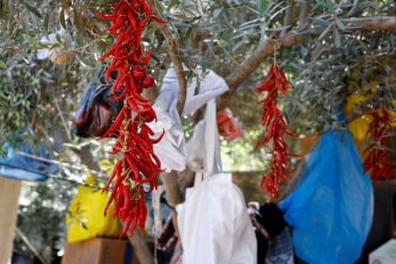 Muhanna says the seeds could be key to future food sovereignty in Gaza.Photograph: Mahmoud Issa/Reuters