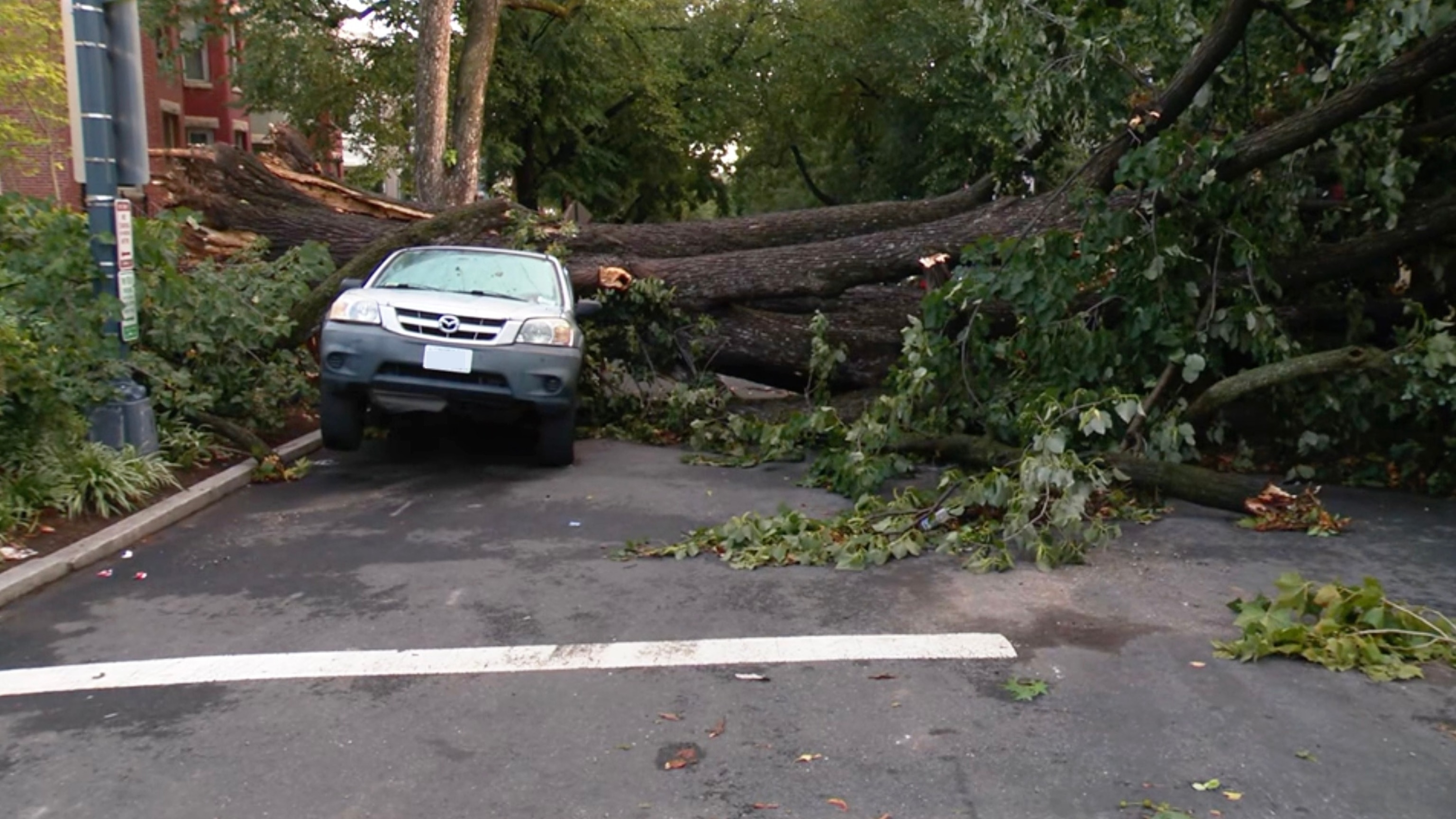 In this screen grab from a video, a car is damaged after a large tree fell on it during a severe storm that ripped through the area, on Sept. 4, 2026.WJLA