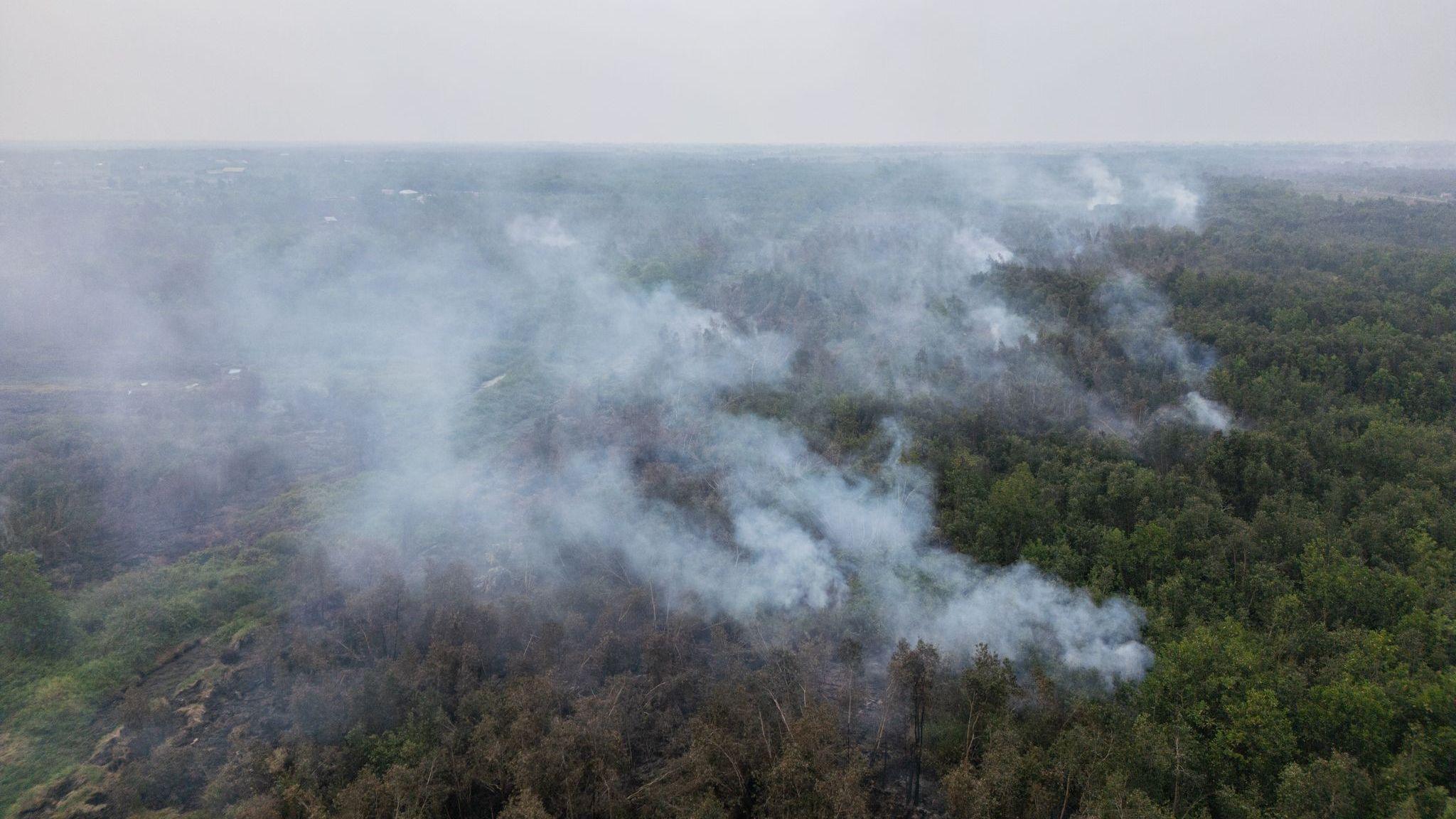 Image caption,Fires have torched some 200,000 hectares across Indonesian Borneo since early July