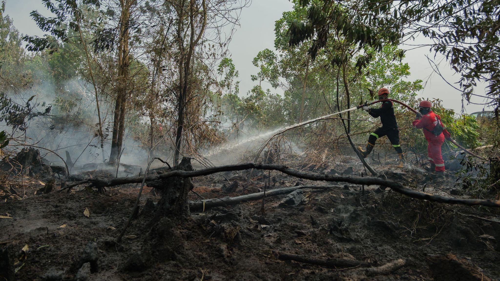 Image caption,Fighting peat fires requires saturating the ground so thoroughly that it becomes "like porridge"