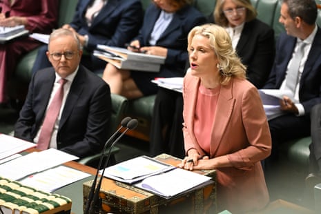 Clare O’Neil speaks during question time.Photograph: Lukas Coch/AAP